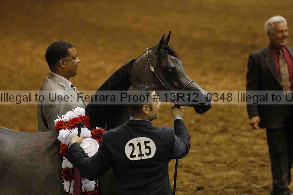 Proof 13r12_0348
