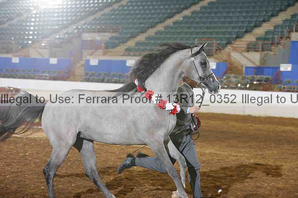 Proof 13r12_0352