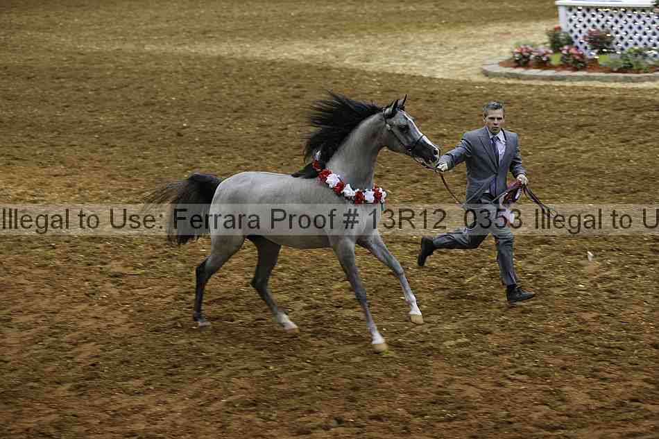 Proof 13r12_0353