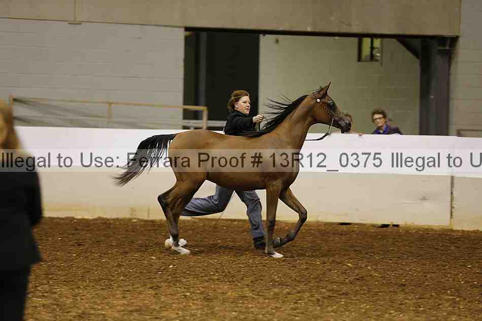 Proof 13r12_0375