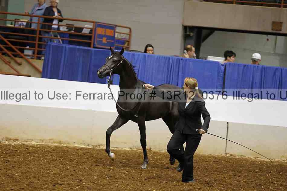 Proof 13r12_0376