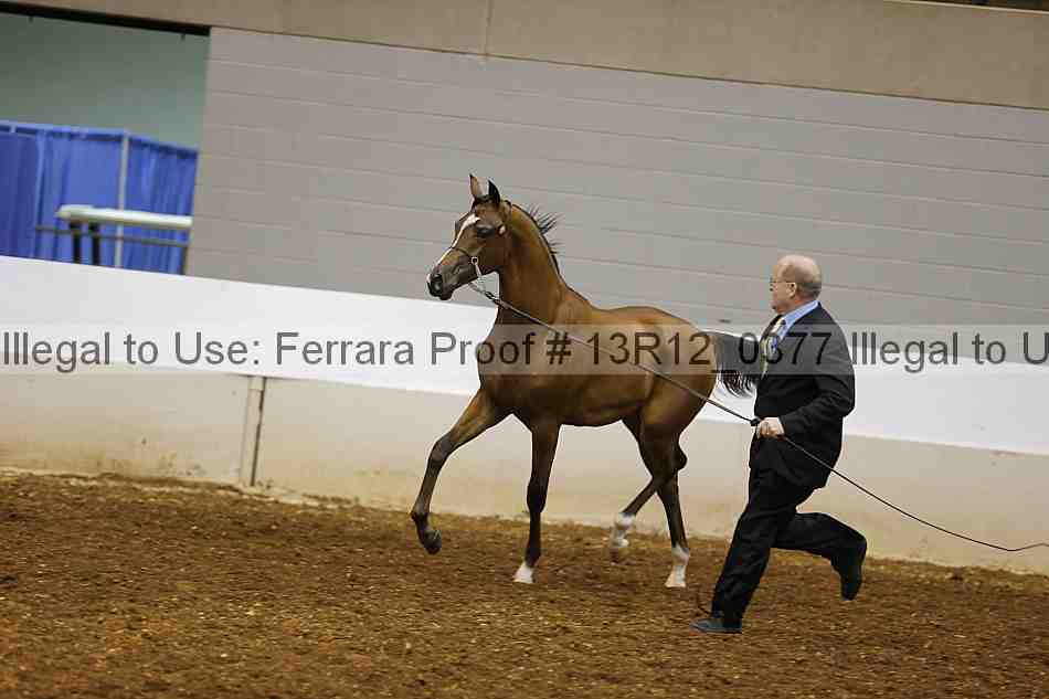 Proof 13r12_0377