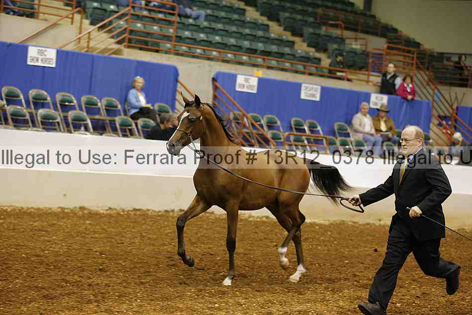 Proof 13r12_0378