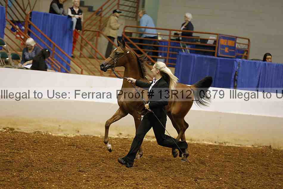 Proof 13r12_0379