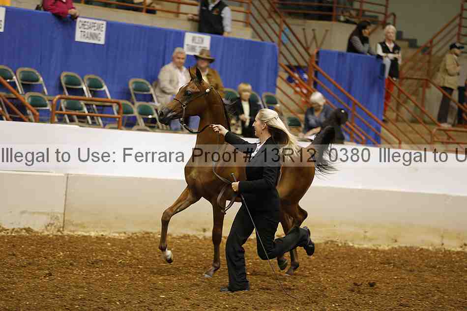 Proof 13r12_0380