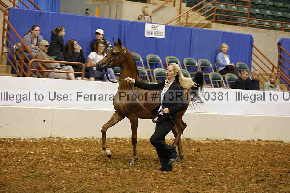Proof 13r12_0381
