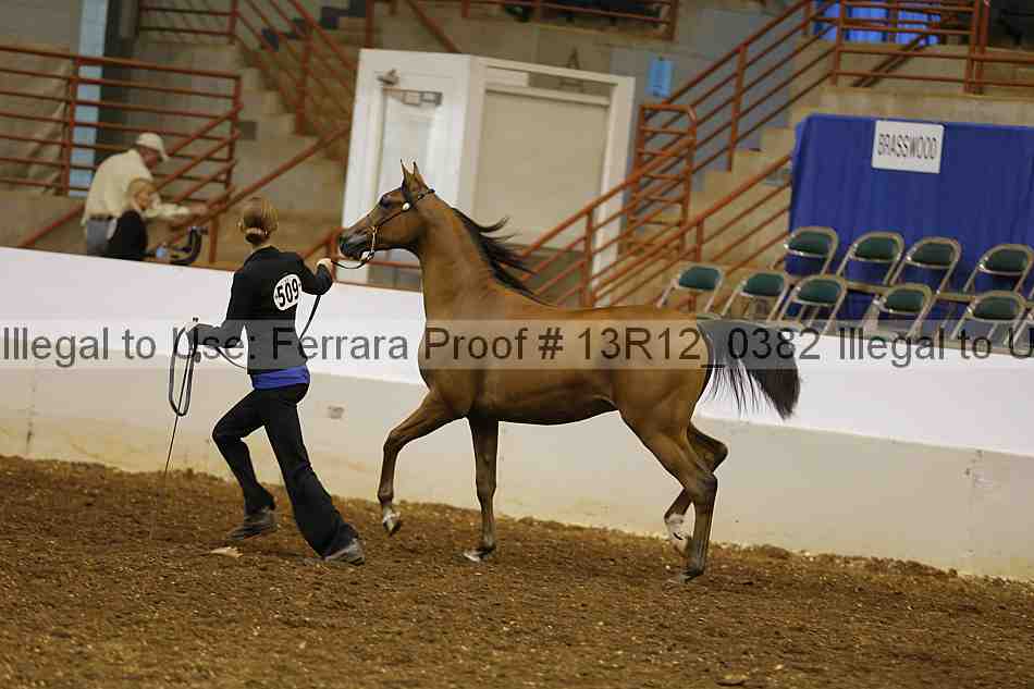 Proof 13r12_0382