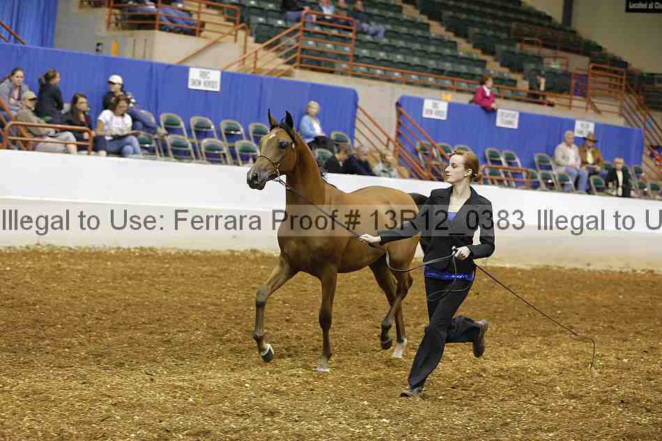 Proof 13r12_0383