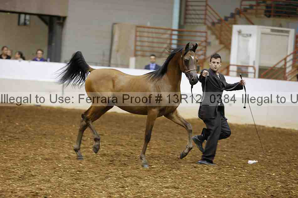 Proof 13r12_0384