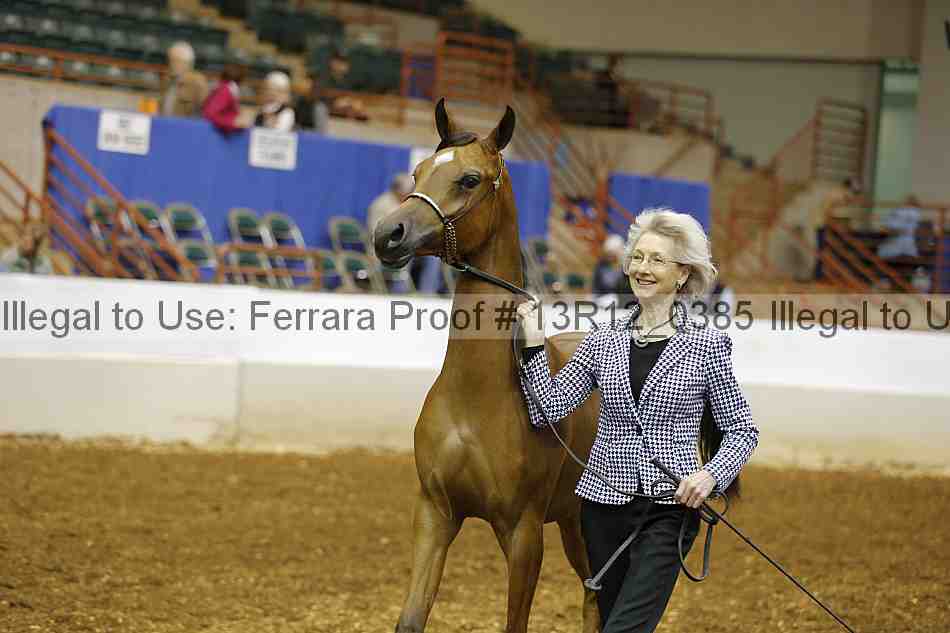 Proof 13r12_0385