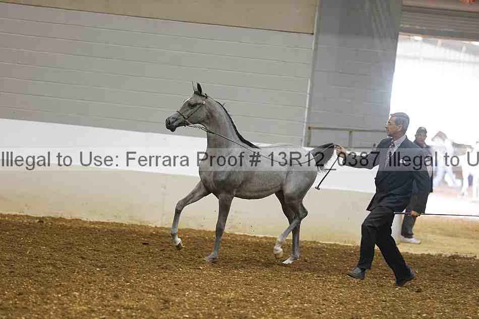 Proof 13r12_0387