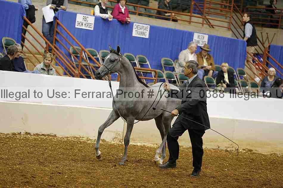 Proof 13r12_0388