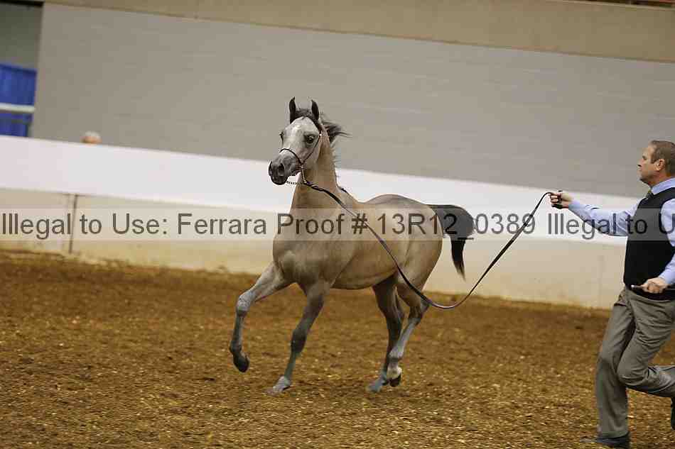 Proof 13r12_0389