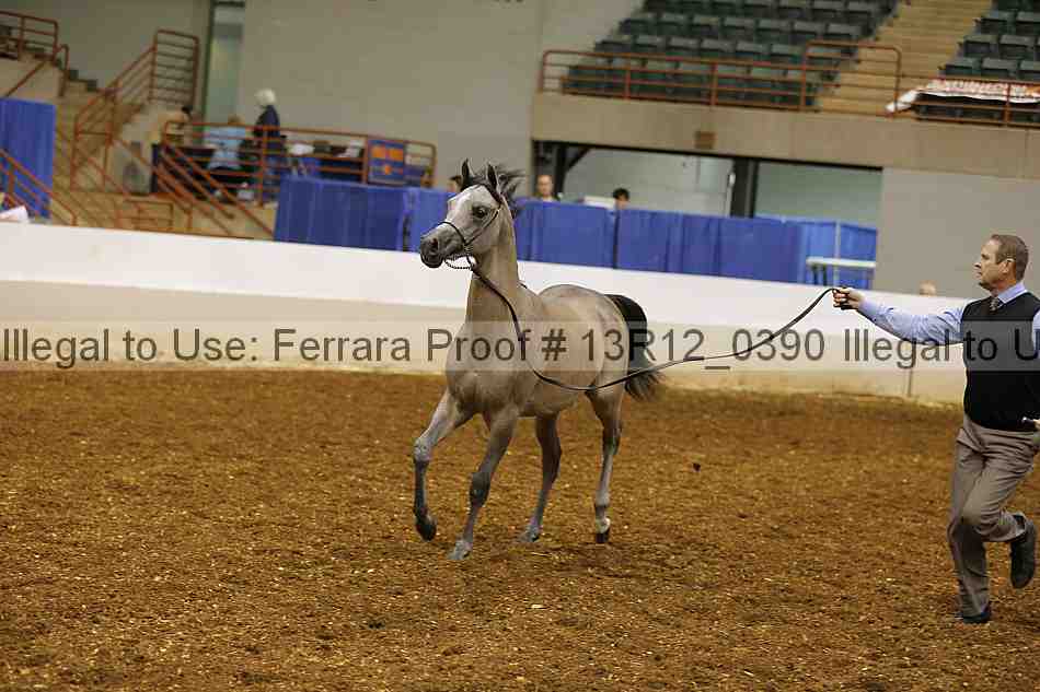 Proof 13r12_0390