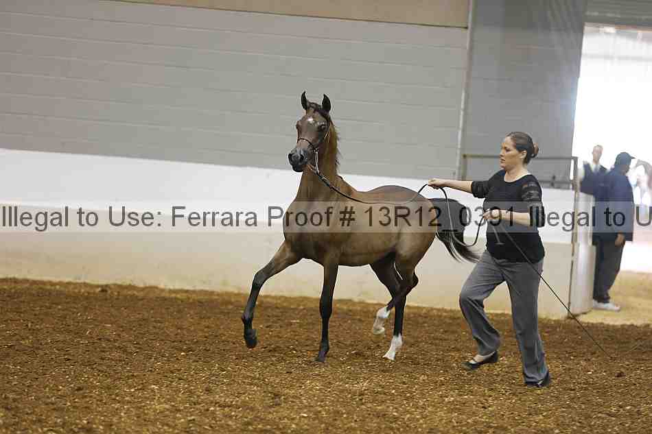 Proof 13r12_0391