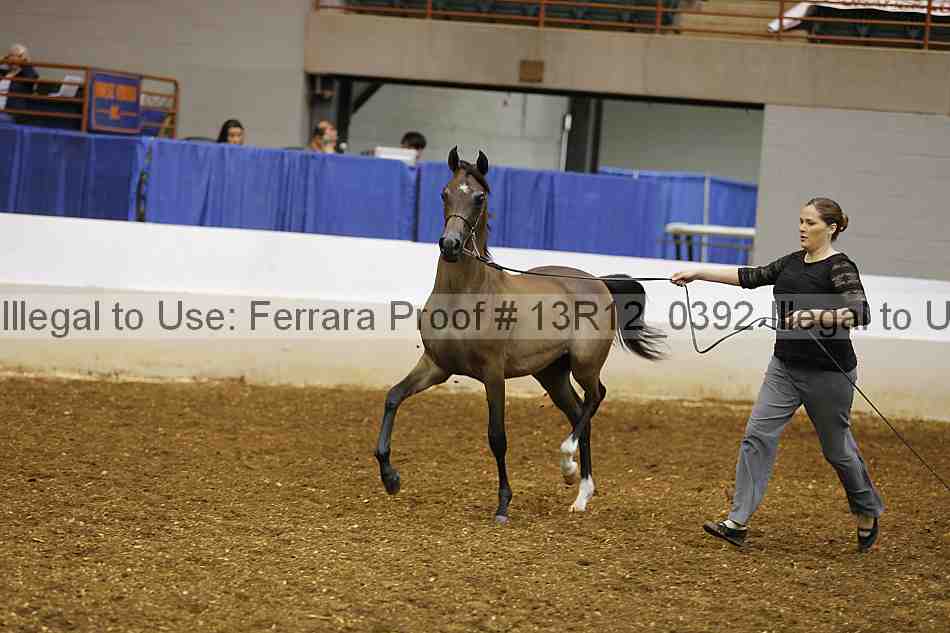 Proof 13r12_0392