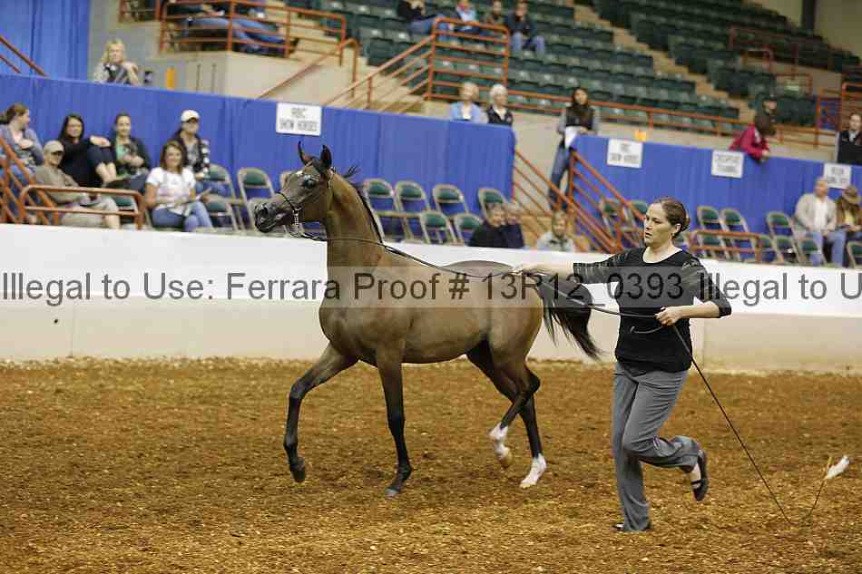 Proof 13r12_0393