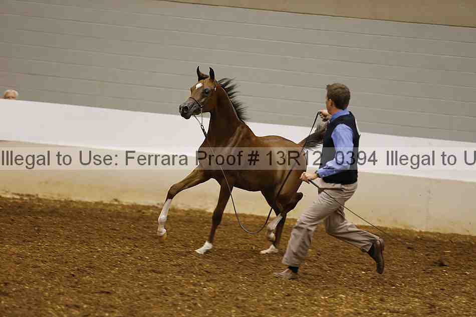 Proof 13r12_0394