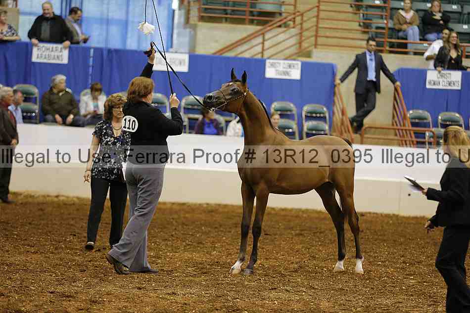 Proof 13r12_0395