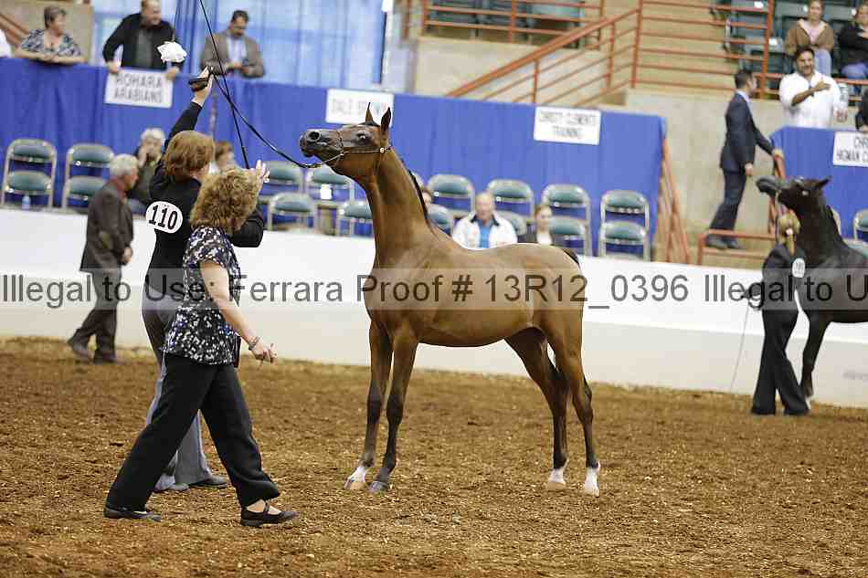 Proof 13r12_0396