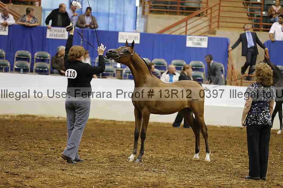 Proof 13r12_0397