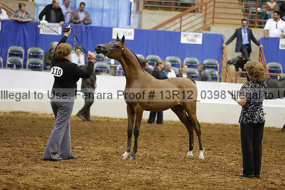 Proof 13r12_0398