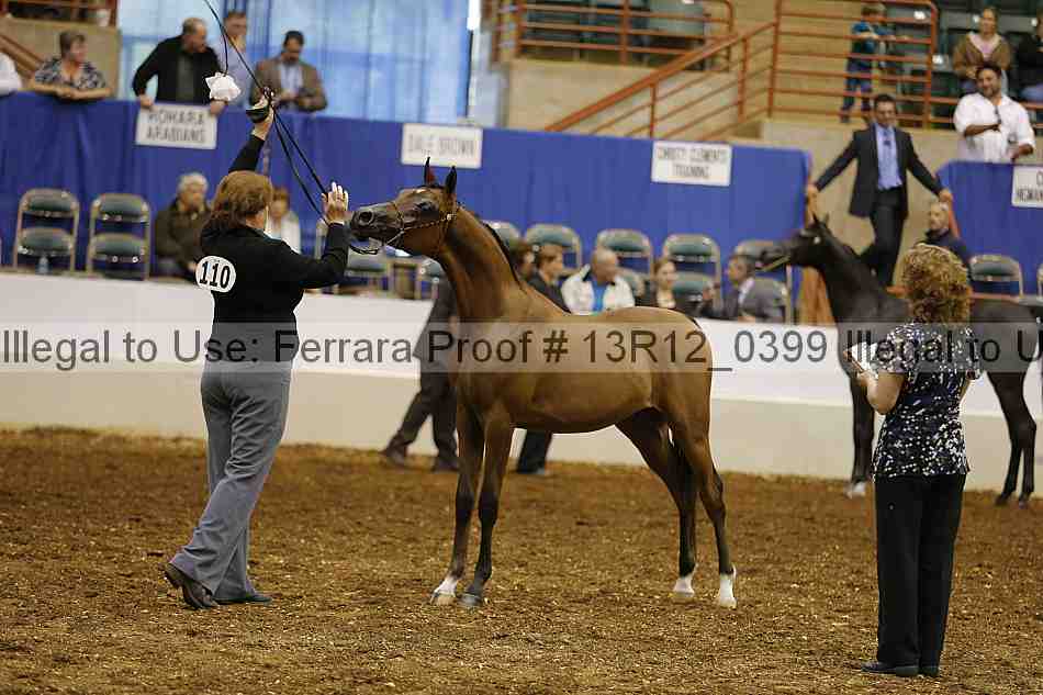 Proof 13r12_0399