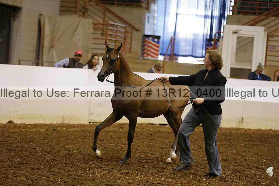 Proof 13r12_0400