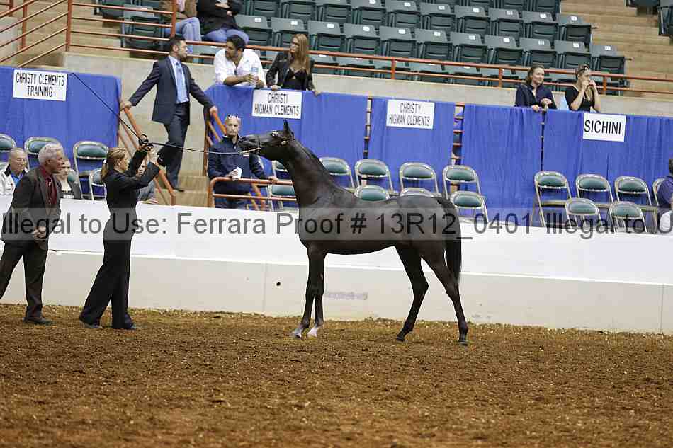 Proof 13r12_0401