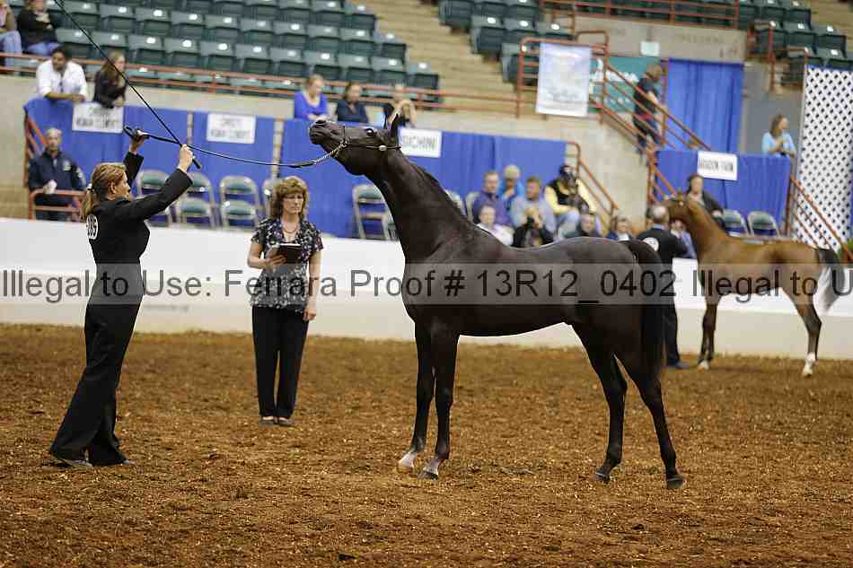 Proof 13r12_0402