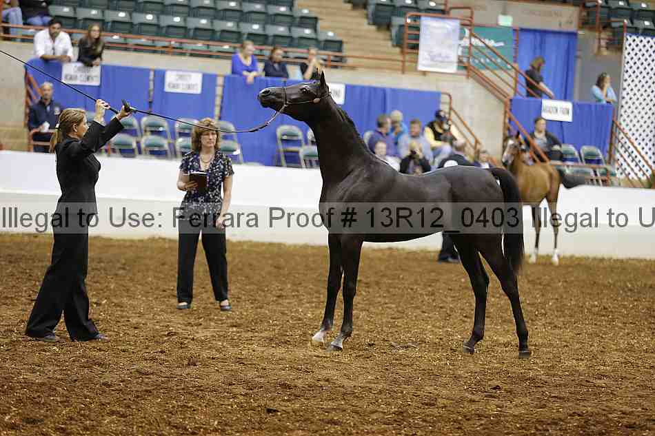 Proof 13r12_0403