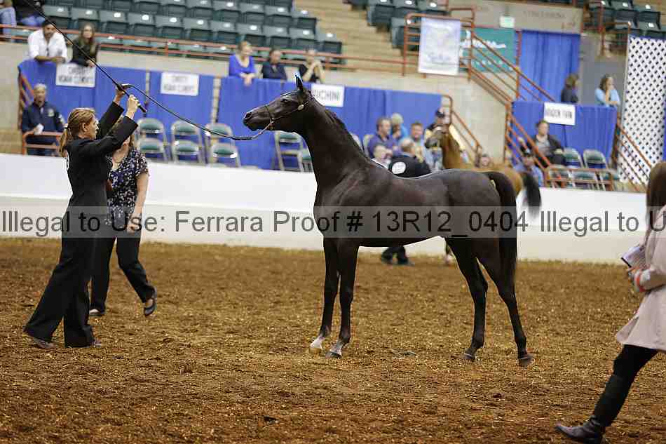 Proof 13r12_0404