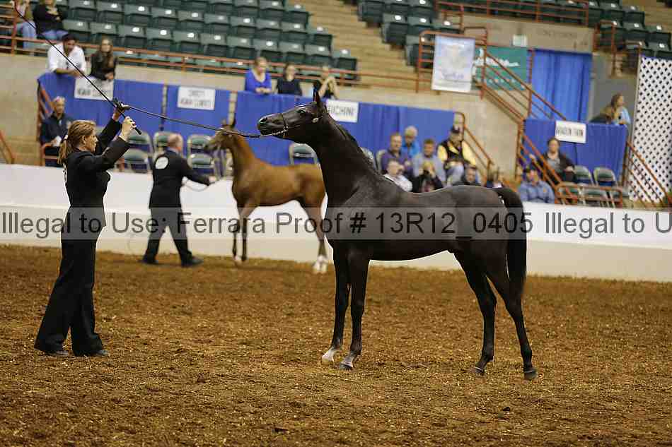 Proof 13r12_0405