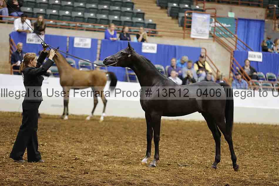 Proof 13r12_0406