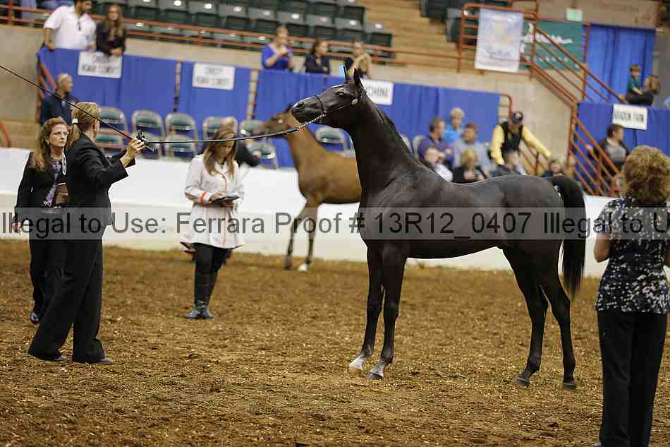 Proof 13r12_0407
