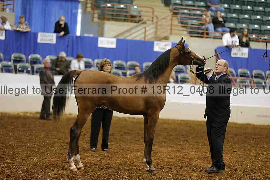 Proof 13r12_0408