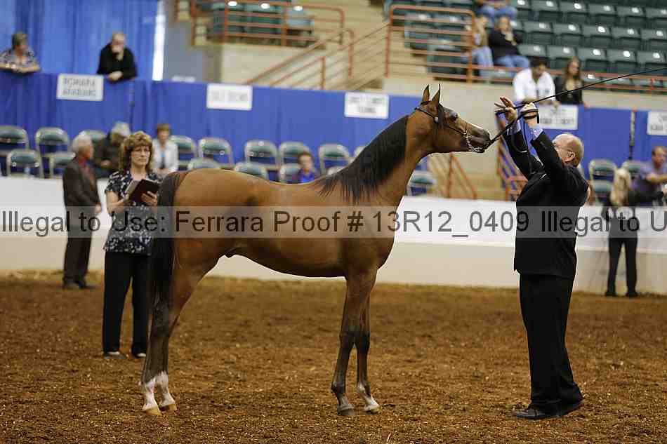 Proof 13r12_0409