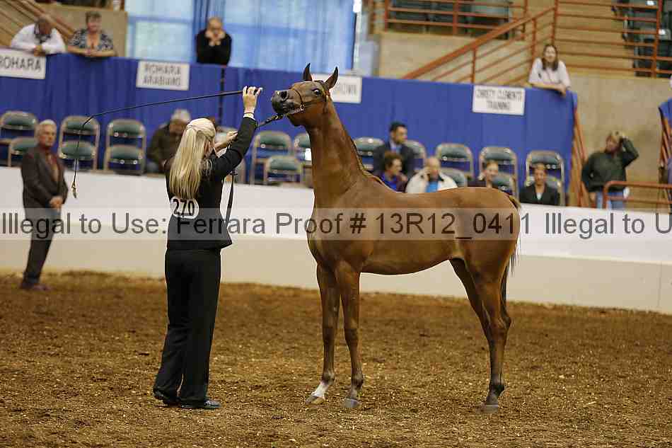 Proof 13r12_0411