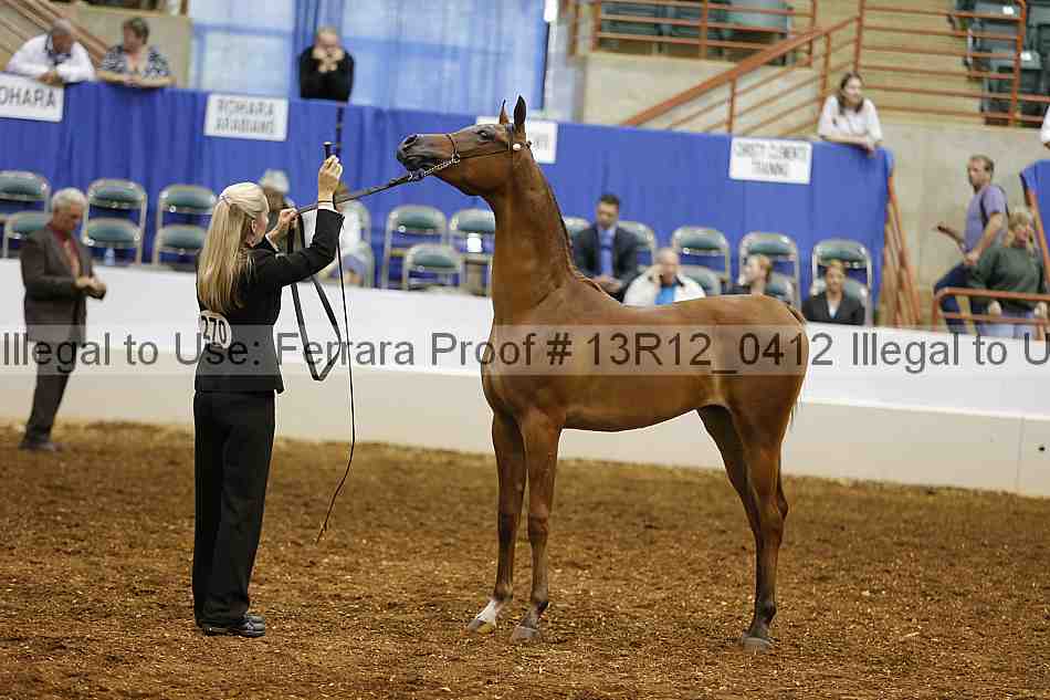 Proof 13r12_0412