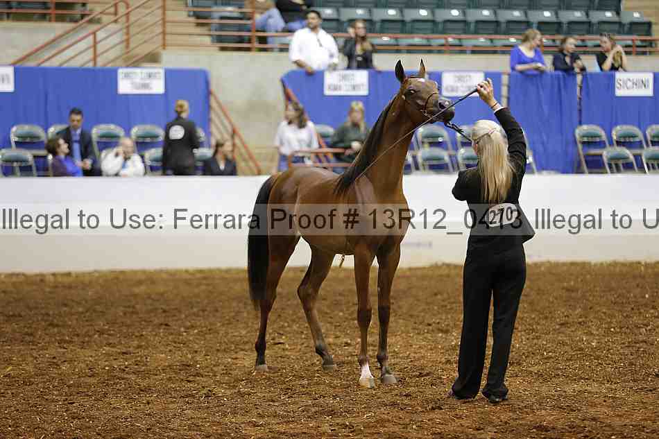 Proof 13r12_0413