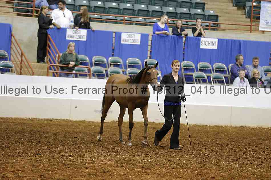 Proof 13r12_0415
