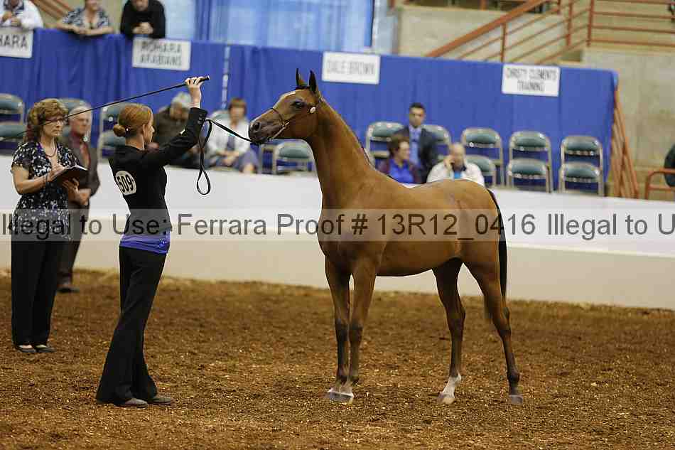 Proof 13r12_0416