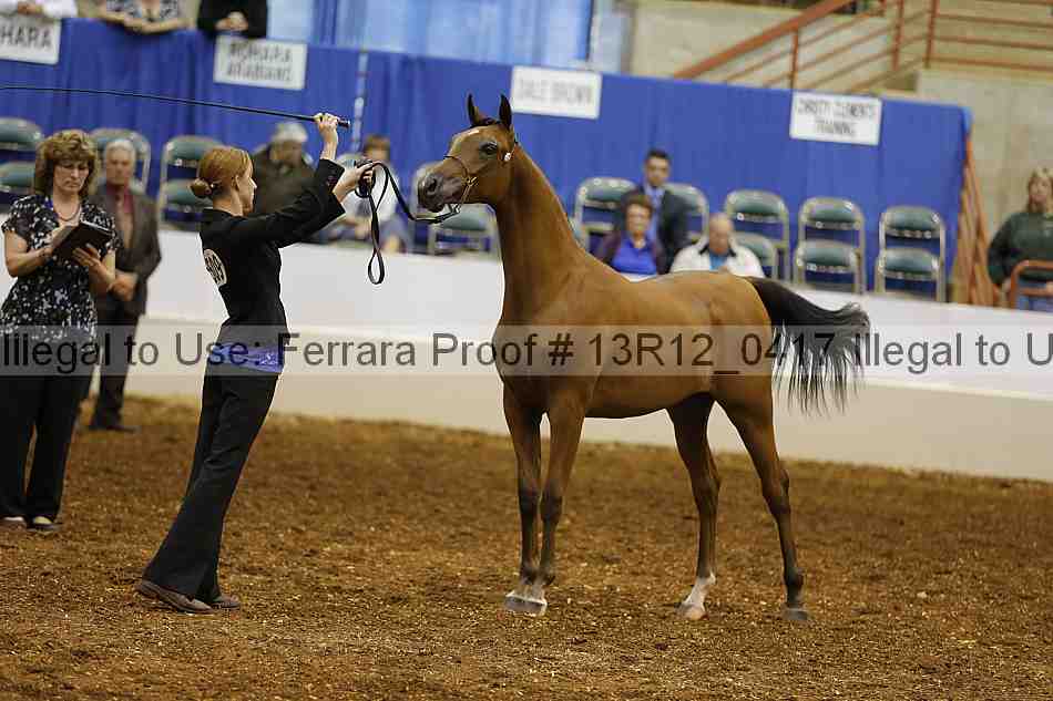 Proof 13r12_0417