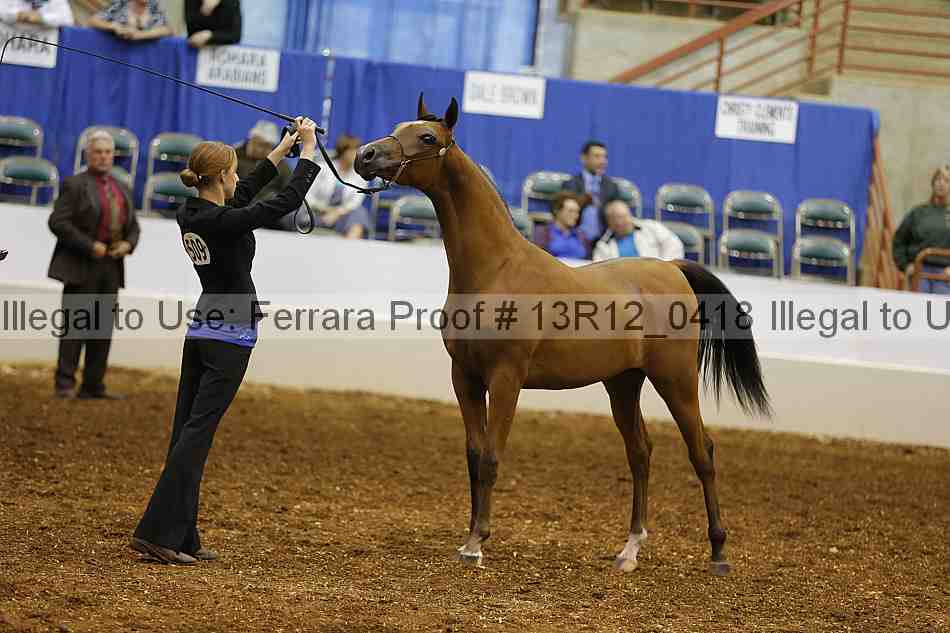 Proof 13r12_0418