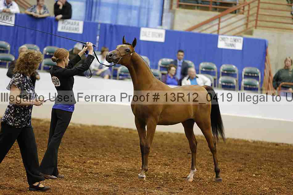 Proof 13r12_0419