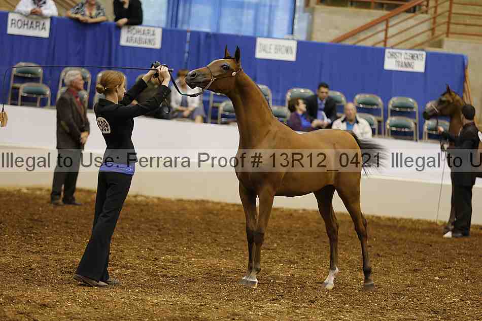 Proof 13r12_0421