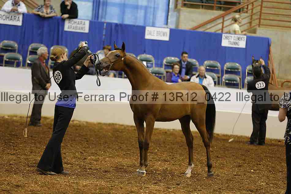 Proof 13r12_0422