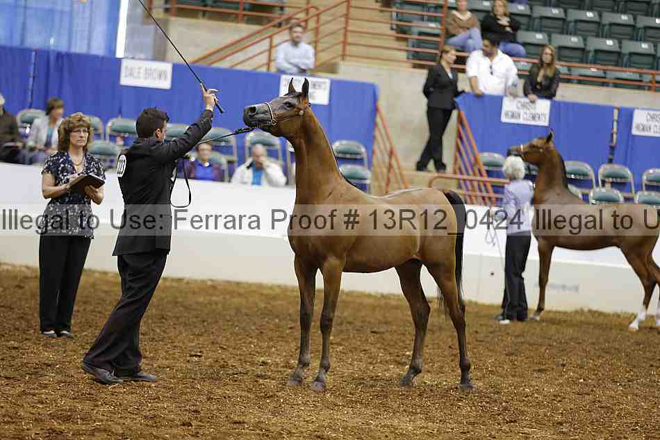 Proof 13r12_0424