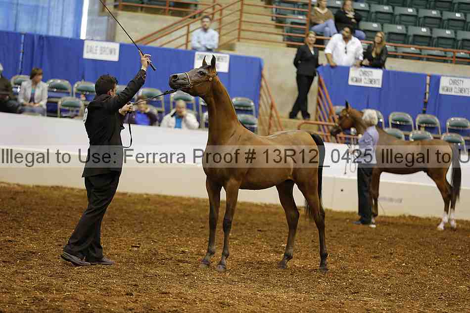 Proof 13r12_0425
