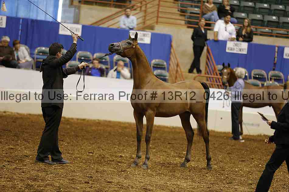 Proof 13r12_0426